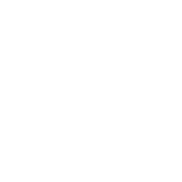 Премьер-Лига logo