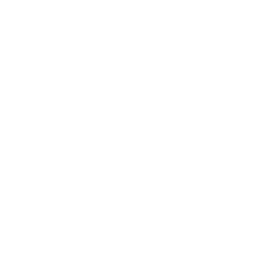 Профессиональная лига logo