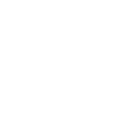 НПЛ Квинсленд logo