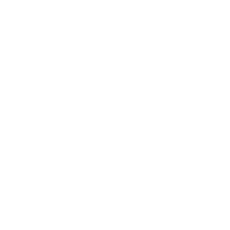 Примейра-лига logo