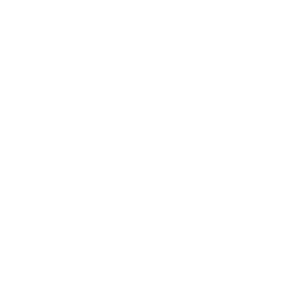 Лига Паранаэнсе logo