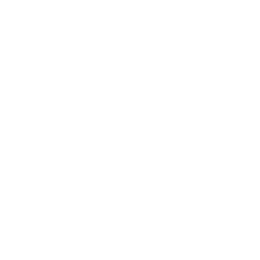Лига 1 logo