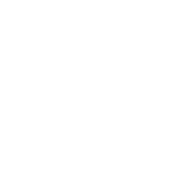 Примера B Метрополитана logo