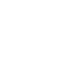 2-й дивизион logo