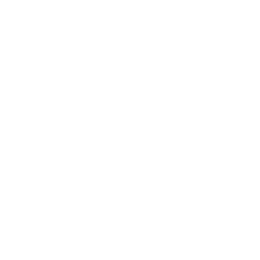 Чемпионат Мира logo
