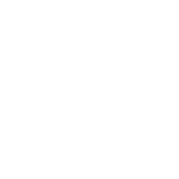 Чемпионат Мира logo