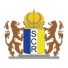 Ритцинг