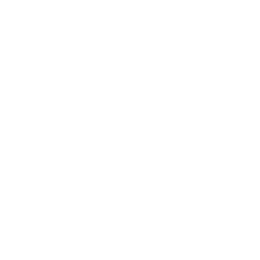 Национальный чемпионат II logo