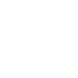 Кубок Либертадорес logo