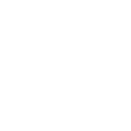 1-й дивизион logo