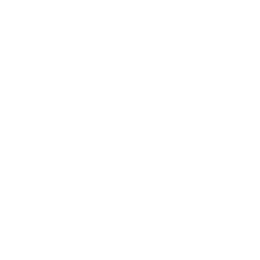 Примера Дивизион А logo