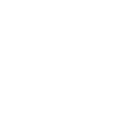 1-й дивизион logo