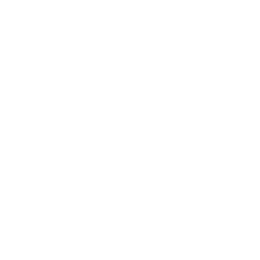 Эровнули лига 2 logo