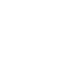 Национальная лига Север logo