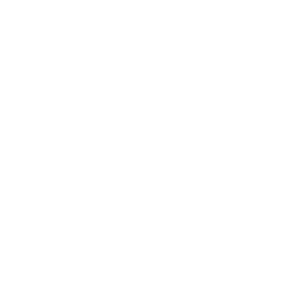Чемпионат Примавера 1 logo