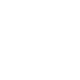 Премьер-лига logo