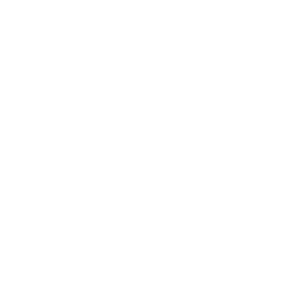 Лига Паулиста до 20 logo