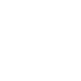 Премьер-Лига logo