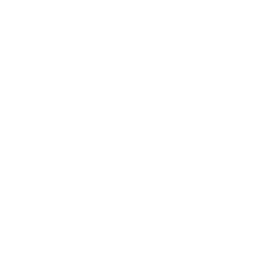 Премьер-лига logo