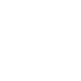 Примера Дивизион logo