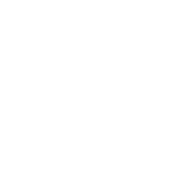 Премьер-Лига logo