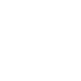 Кубок Либертадорес logo