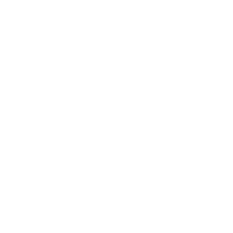 1-й дивизион logo