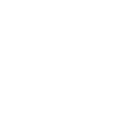 Лига де Экспансьон logo