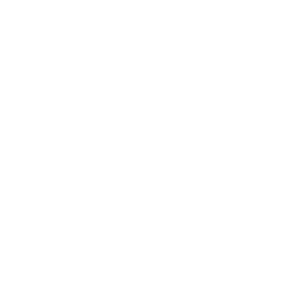 Кубок Короля logo