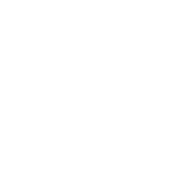 Аллсвенскан logo