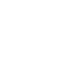 Второй дивизион logo