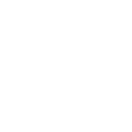 Северная Премьер-лига logo