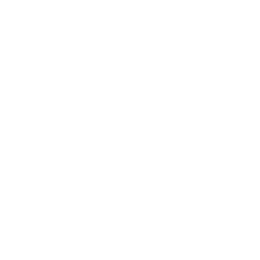 Чемпионат АСЕАН logo