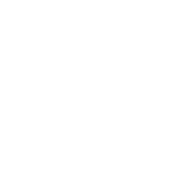 Чемпионат Африканских наций logo