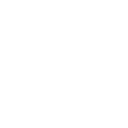 Кубок Америки logo