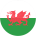 flag-player